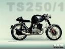 Moto_MZ_250_ts_cafe_racer.jpg