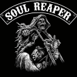 soul reaper