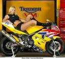 babe-motarde-triumph-daytona.jpg